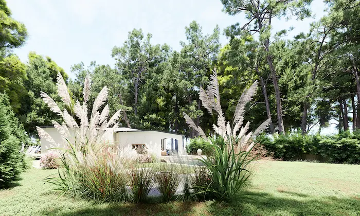 Vegetación ornamental y césped perenne frente a casa moderna en entorno forestal en Polonia