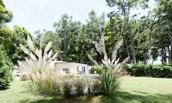 Gramíneas ornamentales y césped perenne en jardín de villa privada en Polonia, con arquitectura integrada en el paisaje