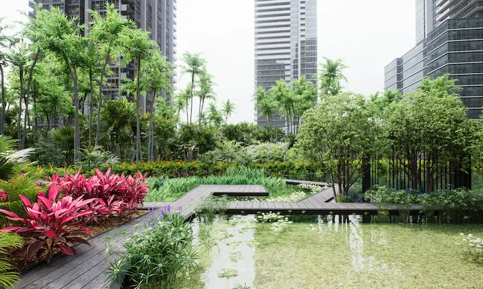 Piscina natural con plantas acuáticas y peces en entorno urbano tropical