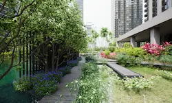 Diseño conceptual en 3D de jardín urbano con plataformas de madera y vegetación adaptada al clima tropical