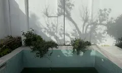 Unrenovated courtyard with empty tiled pool, spontaneous planting and tree shadows on white wall in dry Southern European climate