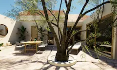 Outdoor dining area shaded by a central olive tree in a courtyard adapted to arid continental climates in Southern Europe