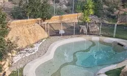 Piscina de diseño orgánico vista desde arriba, integrada en un recinto naturalista con vegetación y fauna en Catalunya