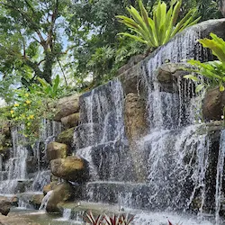 Cascada artificial sobre rocas rodeada de vegetación tropical en jardín diseñado para relajación