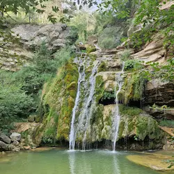 Cascada natural sobre rocas cubiertas de musgo rodeada de vegetación verde