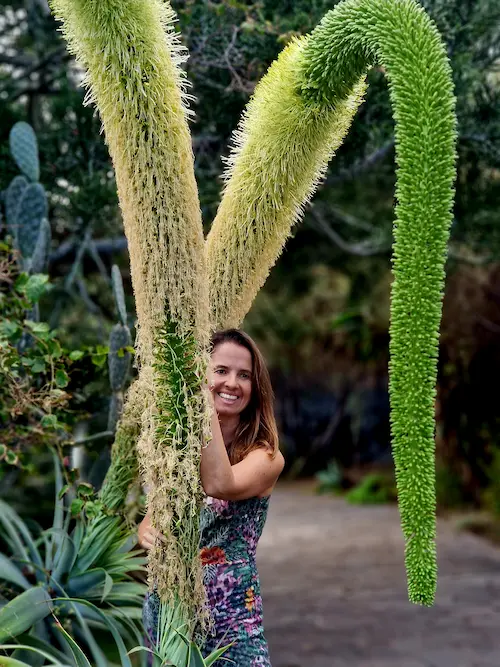 Kasia Porebska en un jardín subtropical con altos agaves en flor, inspiración botánica para diseño de jardines áridos y mediterráneos