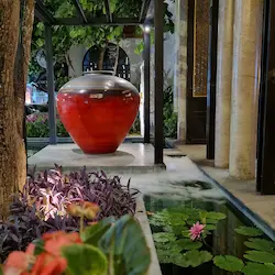 Patio con jarra roja brillante, nenúfares y vegetación bajo pérgola en ambiente nocturno