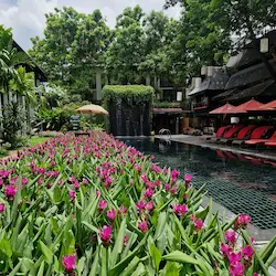 Piscina rodeada de tulipanes siames, jardín vertical y vegetación tropical en entorno relajante