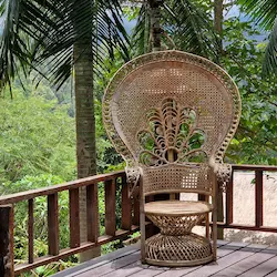 Silla de mimbre con respaldo alto en terraza rodeada de vegetación tropical