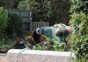 Umsetzung und Koordination von Gartenprojekten auf Mallorca Gartenarbeiten bei der Umsetzung einer Gartengestaltung auf Mallorca